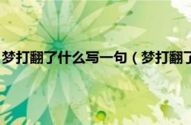 梦打翻了什么写一句（梦打翻了下一句是什么相关内容简介介绍）