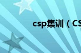 csp集训（CS集训营中文版）