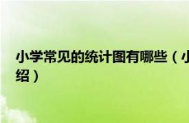 小学常见的统计图有哪些（小学统计图有哪几种相关内容简介介绍）