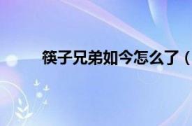 筷子兄弟如今怎么了（筷子兄弟是不是解散了?）