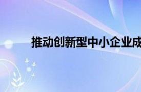 推动创新型中小企业成长的财政与金融支持对策