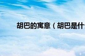 胡巴的寓意（胡巴是什么意思相关内容简介介绍）