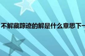 不解藏踪迹的解是什么意思下一句（不解藏踪迹的解是什么意思）