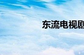 东流电视剧（东流影视）