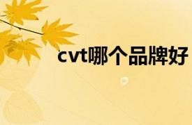 cvt哪个品牌好（CVT 户外品牌）