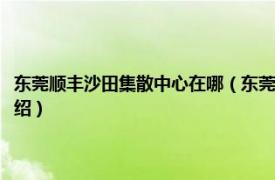 东莞顺丰沙田集散中心在哪（东莞沙田集散中心是哪个省的相关内容简介介绍）