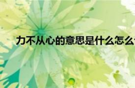 力不从心的意思是什么怎么评论（力不从心的意思是什么）