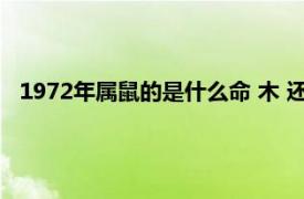 1972年属鼠的是什么命 木 还是水（1972年属鼠的是什么命）