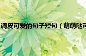 调皮可爱的句子短句（萌萌哒可爱调皮的句子相关内容简介介绍）