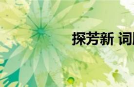 探芳新 词牌（探芳新）