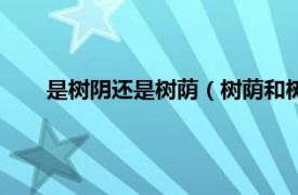 是树阴还是树荫（树荫和树阴的区别相关内容简介介绍）