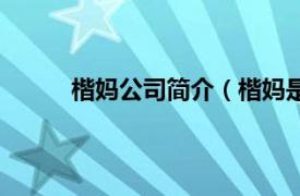 楷妈公司简介（楷妈是什么相关内容简介介绍）