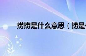 捞捞是什么意思（捞是什么梗相关内容简介介绍）