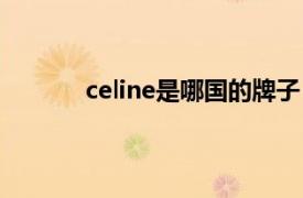 celine是哪国的牌子（celine是哪里的牌子）