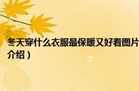 冬天穿什么衣服最保暖又好看图片（天气冷穿什么衣服最保暖相关内容简介介绍）