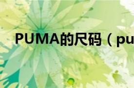 PUMA的尺码（pumaNIKE尺码哪个大）