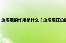 鱼泡泡的作用是什么（鱼泡泡在鱼的身体里起什么作用相关内容简介介绍）