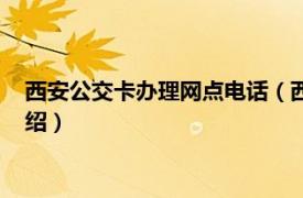 西安公交卡办理网点电话（西安公交卡办理网点相关内容简介介绍）