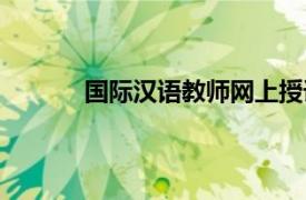 国际汉语教师网上授课（国际汉语教师论坛）