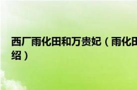 西厂雨化田和万贵妃（雨化田和万贵妃什么关系相关内容简介介绍）