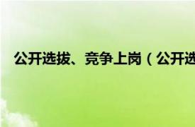 公开选拔、竞争上岗（公开选拔与竞争上岗系列丛书 全三册）