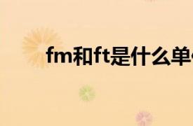 fm和ft是什么单位（ft是什么单位）