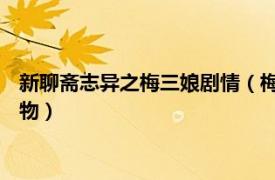 新聊斋志异之梅三娘剧情（梅三娘 电视剧《新聊斋志异》中的人物）