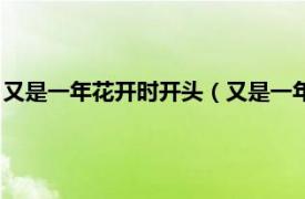 又是一年花开时开头（又是一年花开时下一句相关内容简介介绍）