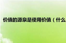 价值的源泉是使用价值（什么是价值的源泉相关内容简介介绍）