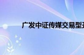 广发中证传媒交易型开放式指数证券投资基金