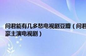 问君能有几多愁电视剧豆瓣（问君能有几多愁 2005年吴奇隆、刘涛、黄文豪主演电视剧）