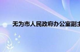 无为市人民政府办公室副主任（无为市人民政府办公室）