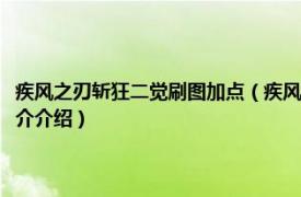 疾风之刃斩狂二觉刷图加点（疾风之刃斩狂二次觉醒任务怎么做相关内容简介介绍）