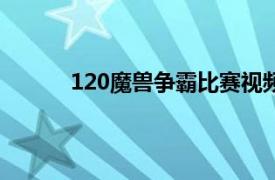 120魔兽争霸比赛视频（120 魔兽争霸3选手）