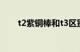 t2紫铜棒和t3区别（T2环保紫铜棒）