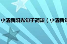 小清新阳光句子简短（小清新句子简短正能量相关内容简介介绍）