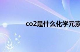 co2是什么化学元素（co是什么化学元素）