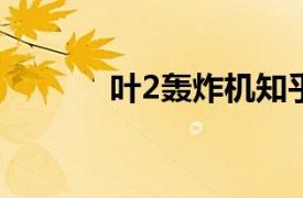 叶2轰炸机知乎（叶-2轰炸机）