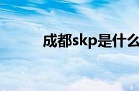 成都skp是什么档次（成都SKP）