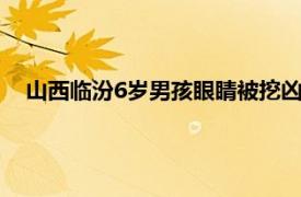 山西临汾6岁男孩眼睛被挖凶手（郭斌 山西六岁被挖眼男童）