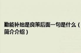 勤能补拙是良策后面一句是什么（勤能补拙是良策的下一句是什么相关内容简介介绍）