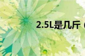 2.5L是几斤（2.5升是几斤）