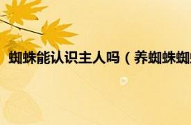 蜘蛛能认识主人吗（养蜘蛛蜘蛛会认主人吗相关内容简介介绍）