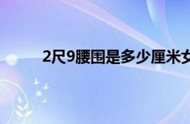 2尺9腰围是多少厘米女（2尺9腰围是多少厘米）