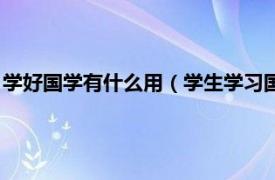 学好国学有什么用（学生学习国学有哪些好处相关内容简介介绍）