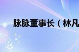 脉脉董事长（林凡 脉脉创始人、CEO）