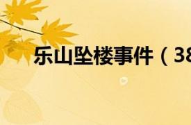 乐山坠楼事件（38乐山岩体垮塌事件）