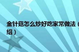 金针菇怎么炒好吃家常做法（金针菇怎么炒好吃相关内容简介介绍）