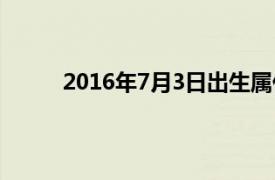 2016年7月3日出生属什么命（2016年7月3日）