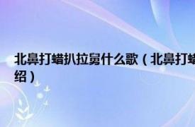 北鼻打蜡扒拉舅什么歌（北鼻打蜡吧啦舅什么歌 什么意思相关内容简介介绍）